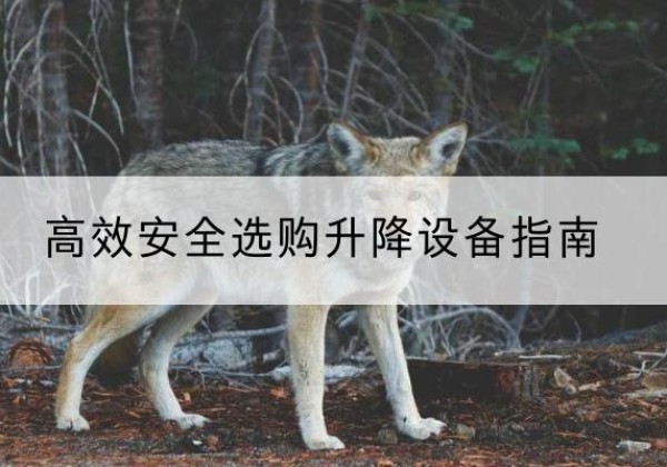 叶城升降货梯厂家推荐-*安全选购升降设备指南