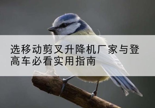 叶城电动升降机厂家-选移动剪叉升降机厂家与登高车必看实用指南