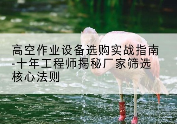 叶城剪叉式升降机厂家-高空作业设备选购实战指南-十年工程师揭秘厂家筛选核心法则